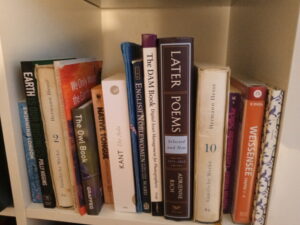 alt 2Randomly sorted books"