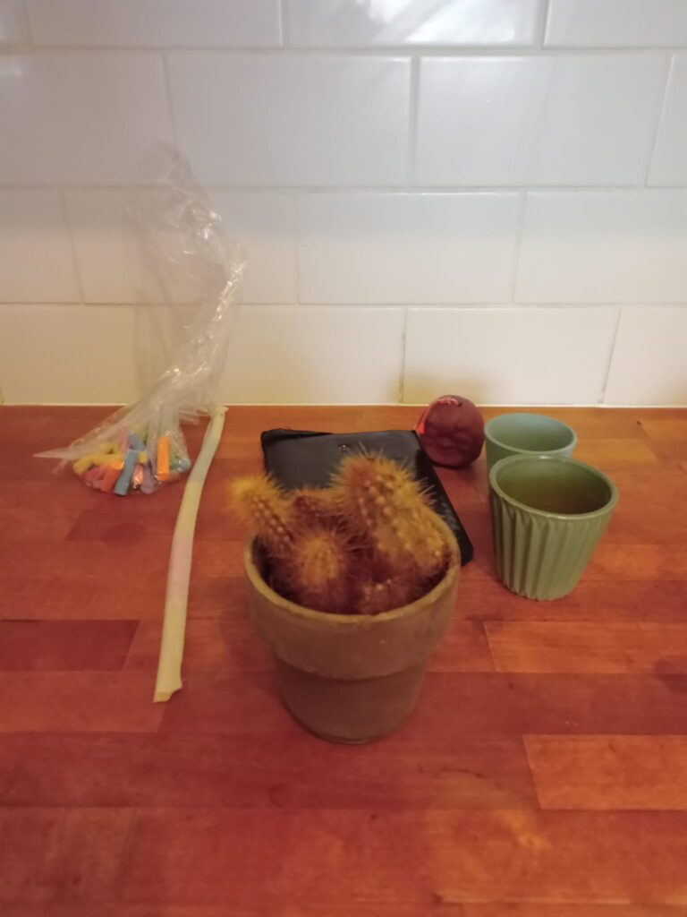 ="Minimalism Challenge Items"
