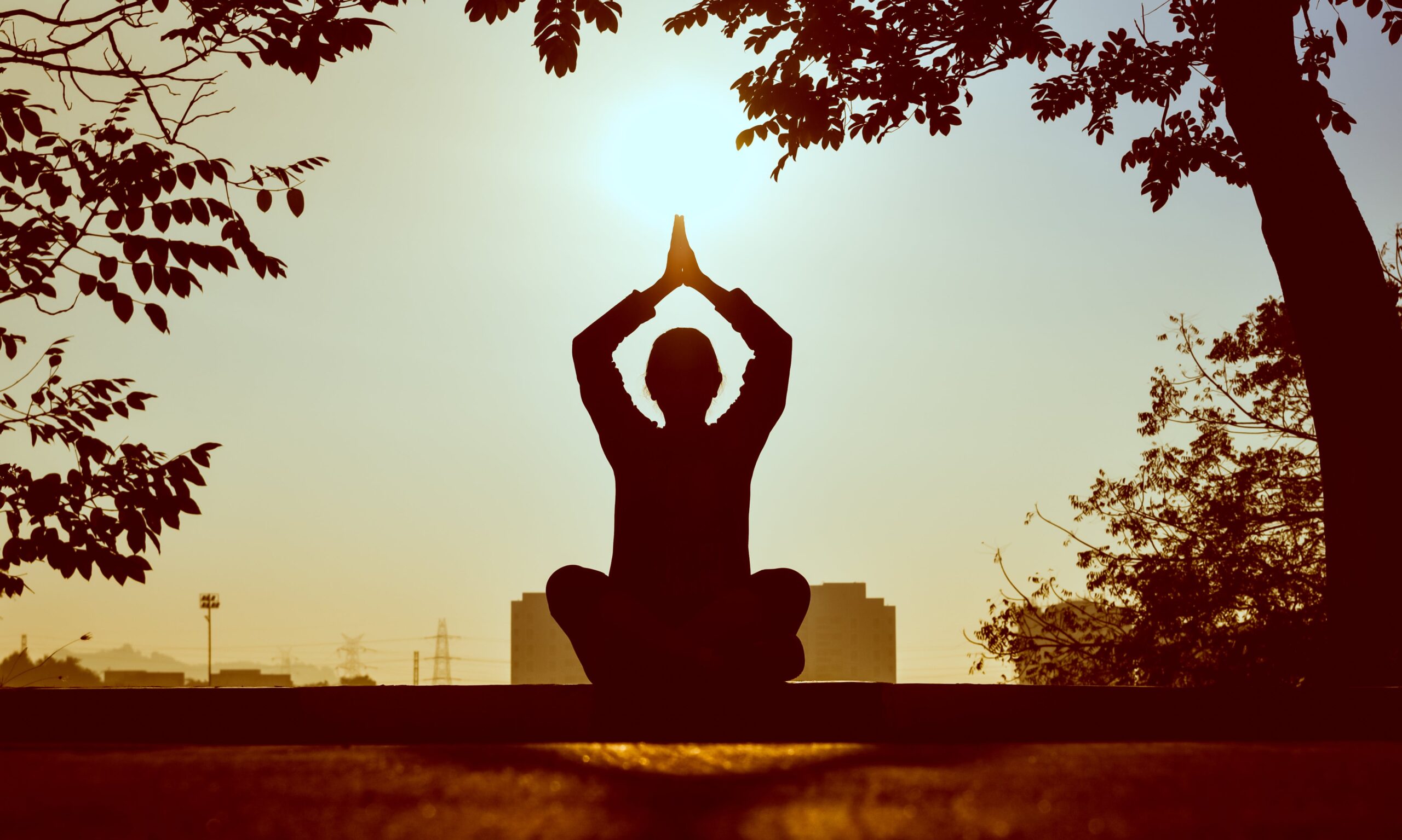 The Benefits of Meditation for Overall Wellness