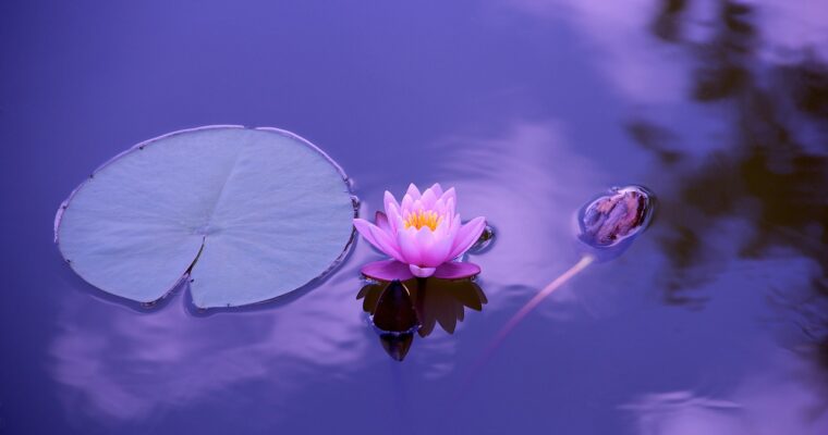 How to have more Zen in your life
