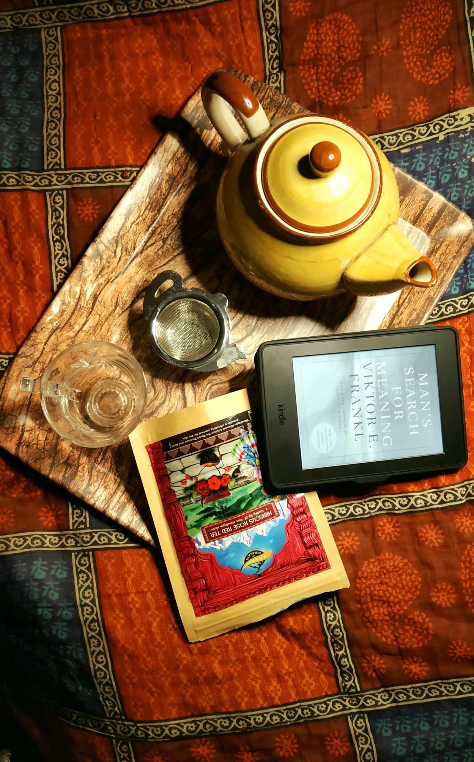 To Kindle or Not to Kindle?