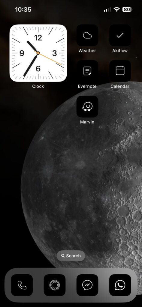 Black and White iPhone home screen