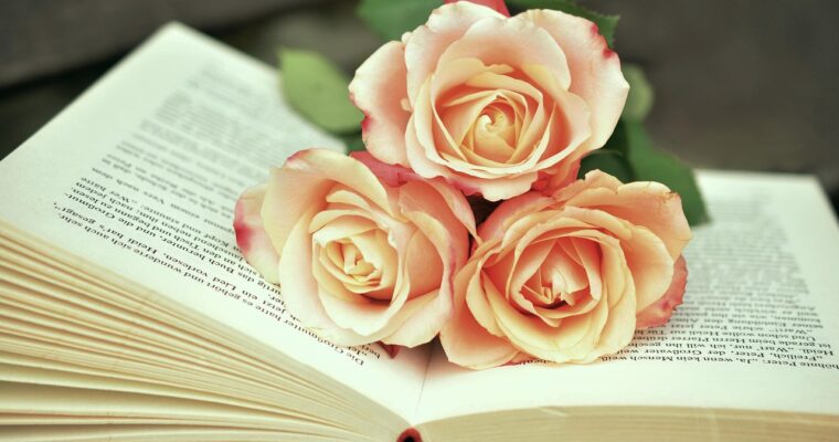 What to read on holiday