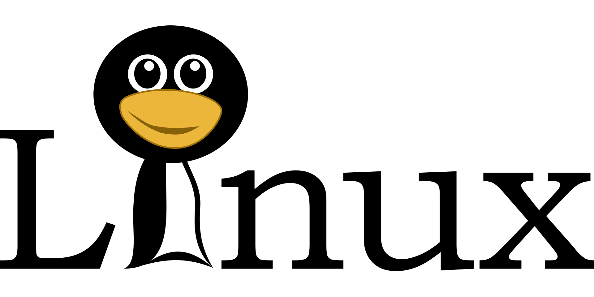 What is the Linux Operating System?